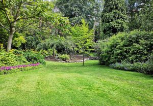 Optimiser l'expérience du jardin à Bucy-Saint-Liphard